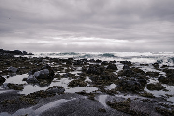 Fototapeta na wymiar cold waves of the atlantic ocean ashore in winter windy weather before rain in Iceland
