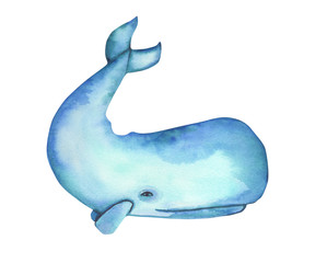 Watercolor hand-drawn blue whale illustration, playful, happy mammal. Character, logo, children wallpaper, . Marine clip art. Ocean, sea inhabitant.