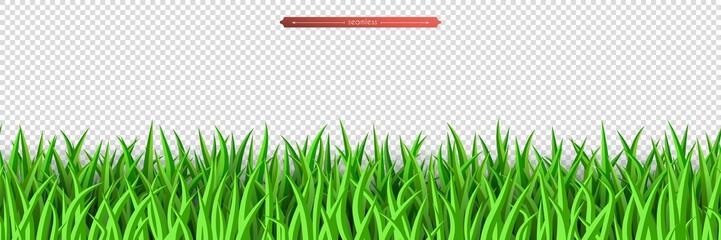 Green grass seamless border. Decoration element of summer spring and Easter design isolated on transparent background. Flat vector illustration of meadow grass