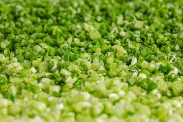 Full screen of fresh slice spring onion, all green color for background, wallpaper, poster in food issue.