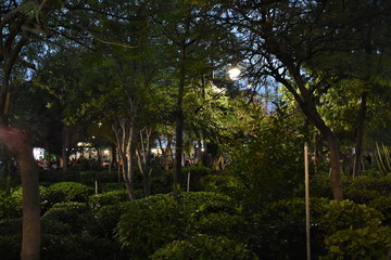 _Aquascalientes Mexico, Nacht, Südamerika, Mexikanische Hochebene, 2000 m über den Meeresspiegel