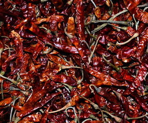 red hot chili peppers