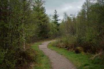 camino 