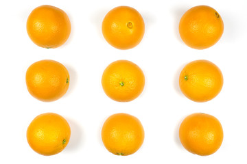 Oranges on white paper 