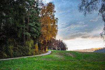 autumn in the park