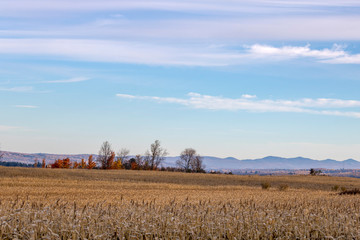 Paysage automne des Cantons de l'Est, Estrie, Québec Canada