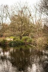 Teich im Park