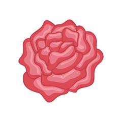 Vector floral botanical flower Illustration Rose Ornament