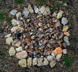 Extinguished bonfire carried by fallen leaves
