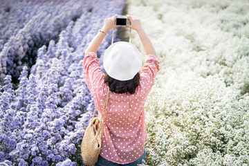 Young female tourists are capturing the beauty of the colorful flower fields, Chiang Mai, Thailand.