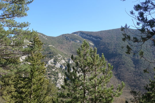 Gola del Furlo