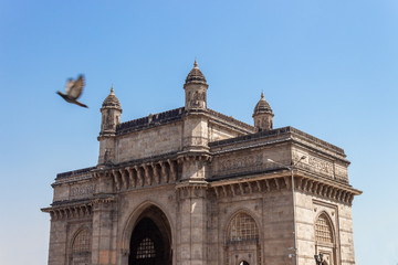 Fototapeta na wymiar Gateway of India 