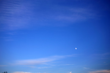 Obraz na płótnie Canvas Feather clouds and Moon