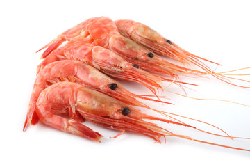 Shrimps isolated on white