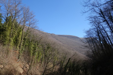 Obraz premium Monte Catria