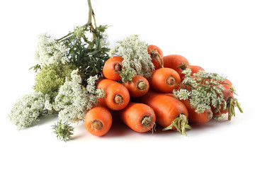 Carrots and flowers