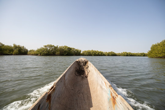 Blick aus Einbaum auf Mangrovenlandschaft in der Casamance, Senegal