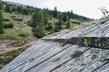 old wooden roof