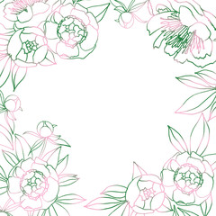 Frame for your photo or text with peony. Pink and green natural hand drawing illustration for congratulations, invitations