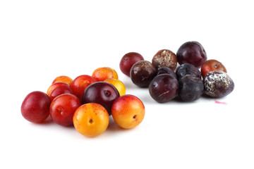 Plums and rotten plums
