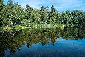 Fototapeta na wymiar Moorsee im Pfrungener-Burgweiler Ried