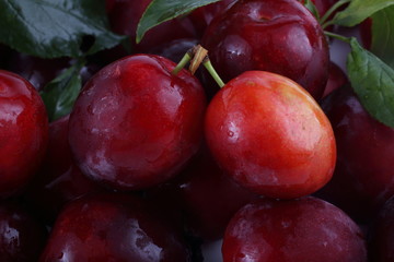 Red plums and leaves background