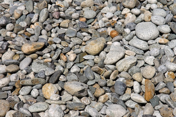 Rundkies