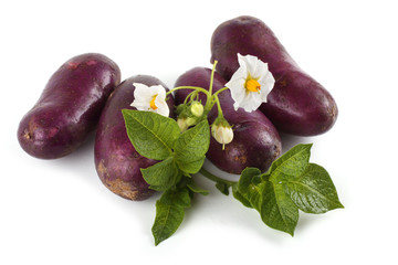 Dark potatoes, leaves and flowers