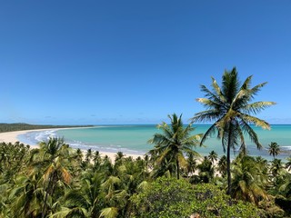 Fototapeta na wymiar A secret beach with turquoise water surrounded by coconut trees near Maceio, in AlagoasState, Brazil 