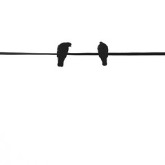 birds on wire