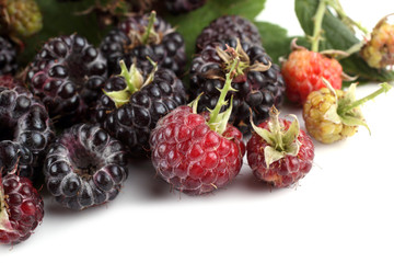 Black raspberries (Rubus idaeus) and leaves isolated on white