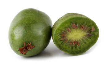 Little kiwi with a half (variegated-leaf hardy kiwi)