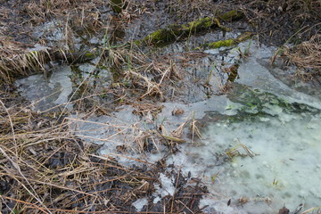 ice on the creek