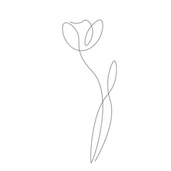 Flower spring on white background vector illustration