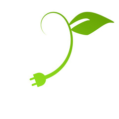 Tomato. Isolated vegetables. Vector illustration