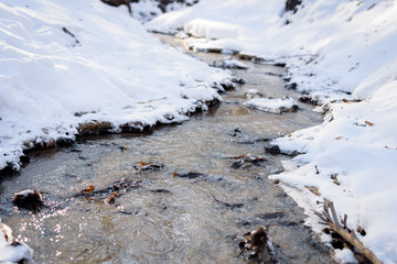 Winter creek in the park, Russia, Ulyanovsk