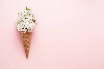 Ice cream cone with white cherry blossom