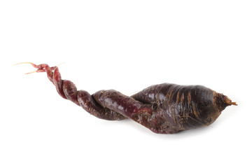 Funny violet ugly carrot