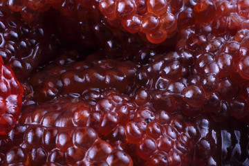 Red caviar background