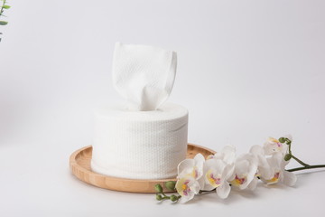 Fototapeta na wymiar White absorbent toilet paper roll