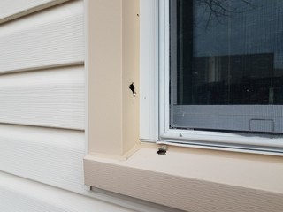 damage or holes in window frame with glass window
