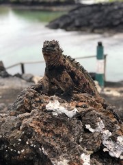 You can't see me can you?