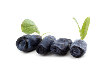 Honeysuckle berries (honeyberry, haskap)