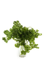 Obraz premium Parsley isolated on white
