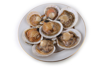 Opened scallops isolated on white