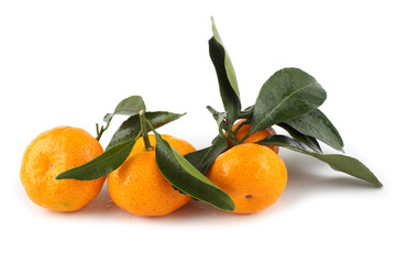 Mandarin oranges and leaves
