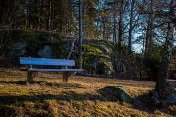 bench in the park