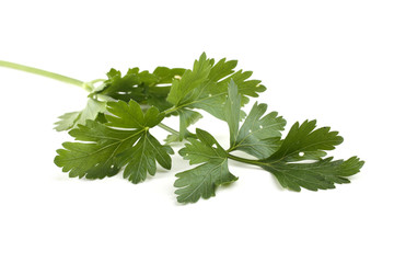 Parsley isolated on white