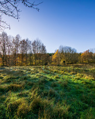 Fototapeta premium autumn in the mountains