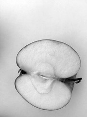 Apple cutaway black and white photo
